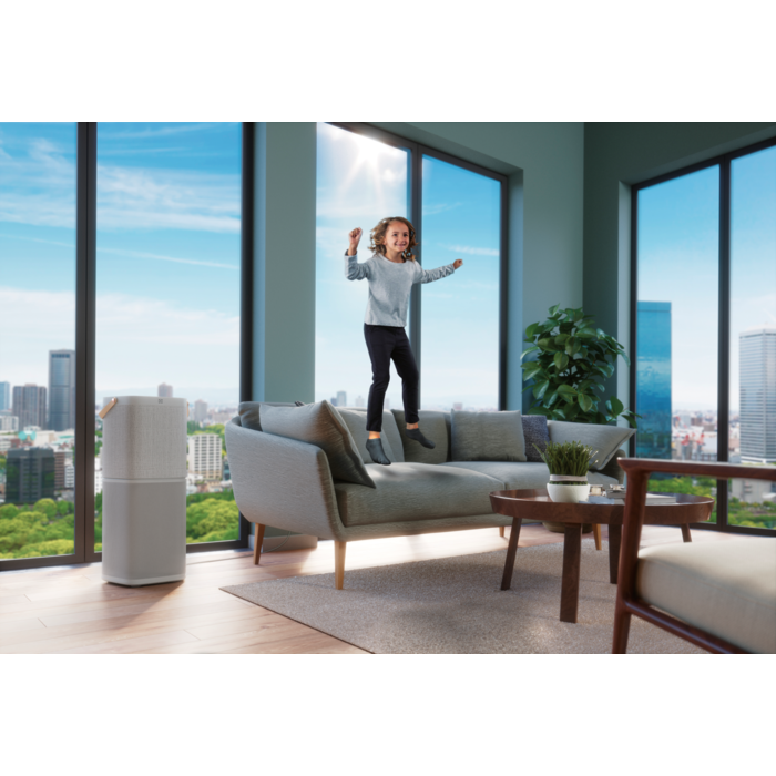 Electrolux - Очищувачі повітря - PA91-404GY