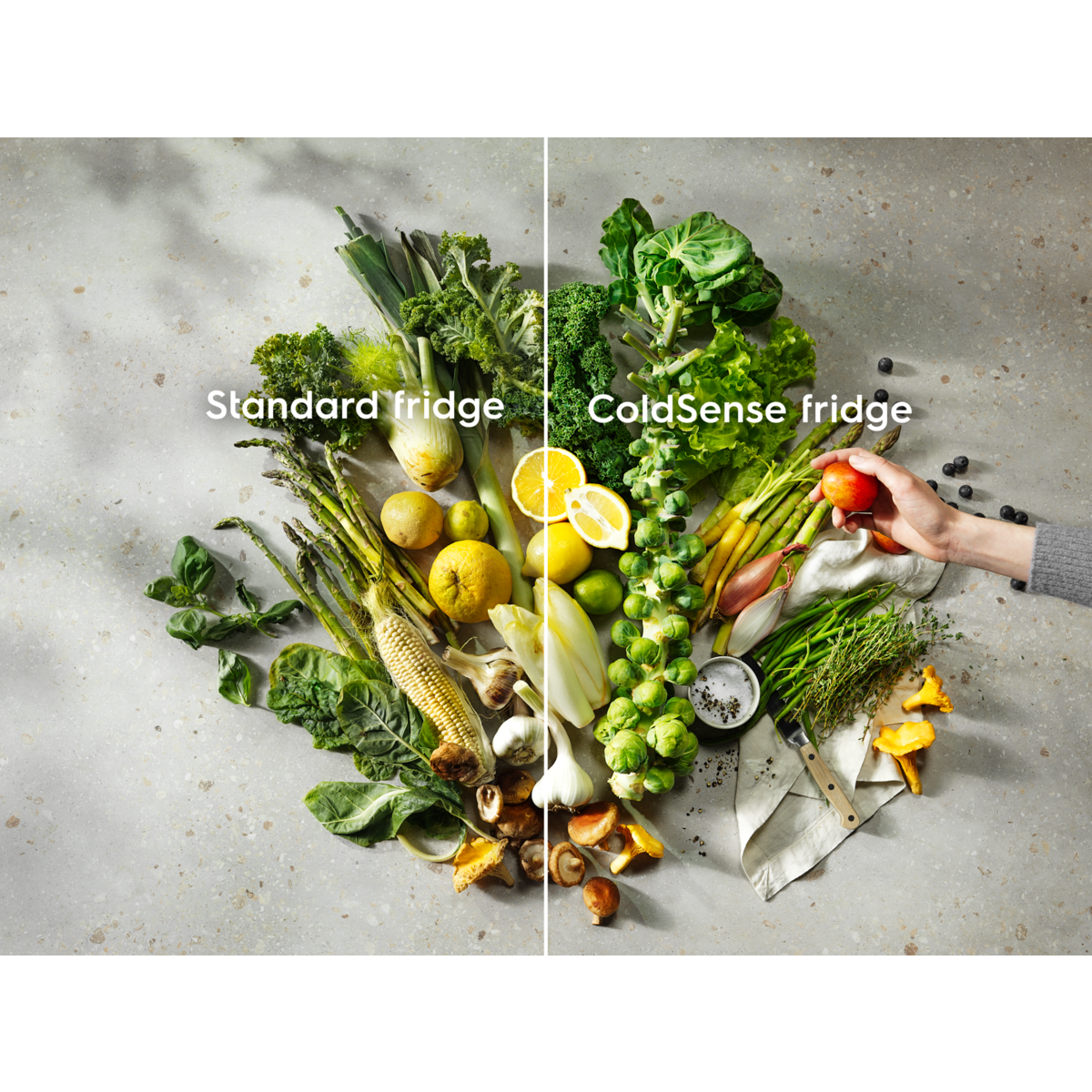 Electrolux - Встраиваемый холодильник с морозильной камерой - RNT3FF18S