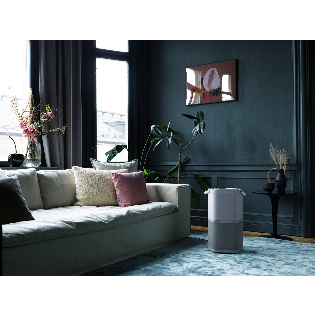Electrolux - Очищувачі повітря - PA91-404GY