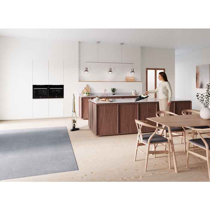 Electrolux - Беспроводной пылесос - WQ71-P52SS