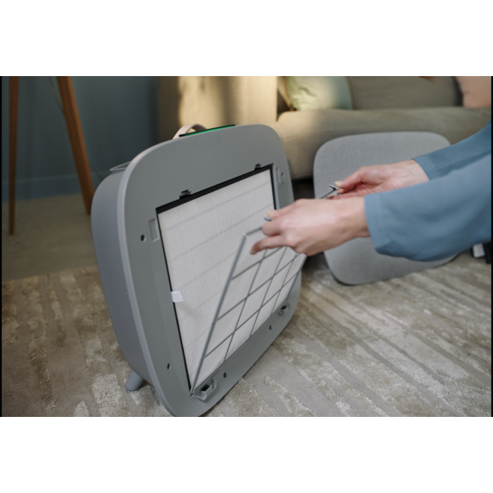 Electrolux - Air Purifier - EFWCLN3