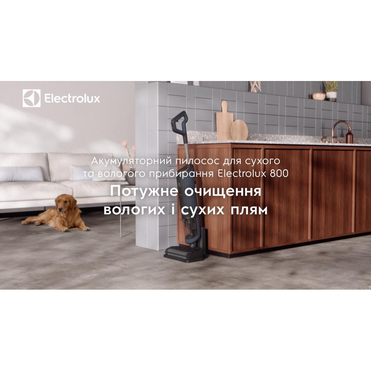 Electrolux - Акумуляторні пилососи для сухого & вологого прибирання - EW81U3DB