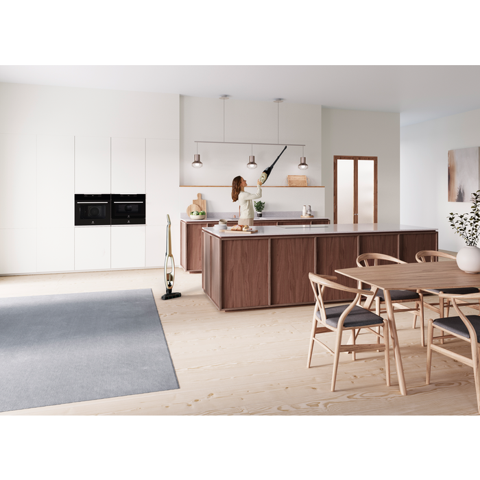 Electrolux - Беспроводной пылесос - WQ71-P52SS