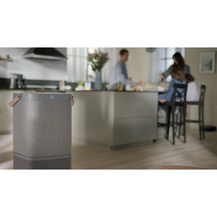 Electrolux - Air Purifier - EFDCLN6E