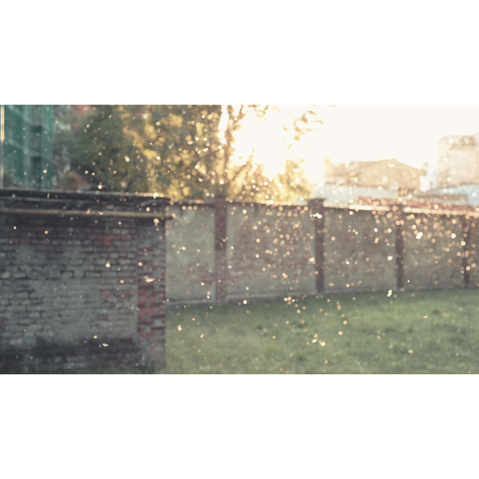 Electrolux - Air Purifier - EFDCLN6E