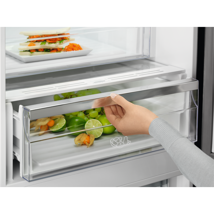 Electrolux - Окремостоячий холодильник з морозильною камерою - RNT7ME34K1