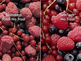 Different berries displayed in different condition.