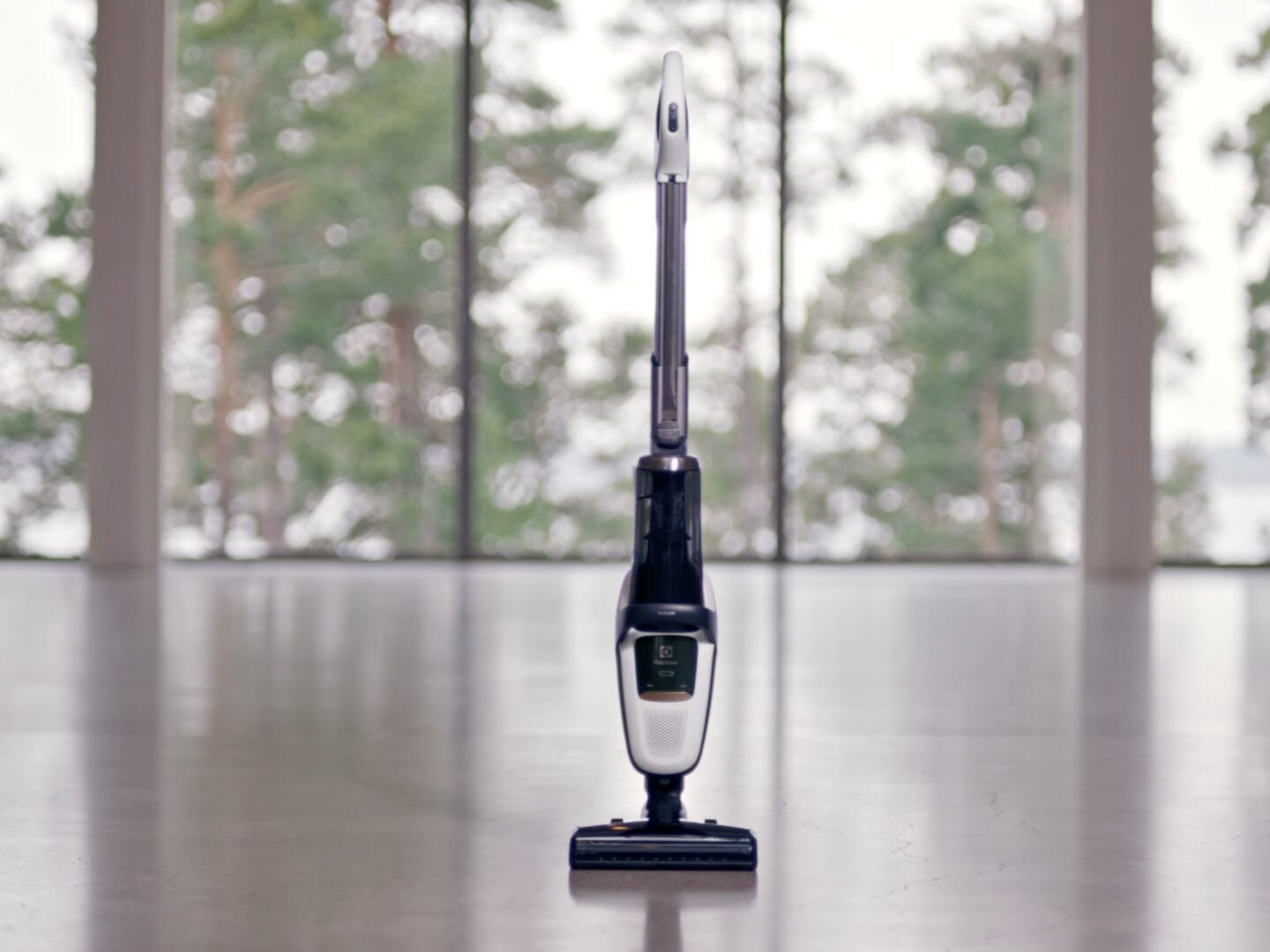 self-standing vacuum cleaner