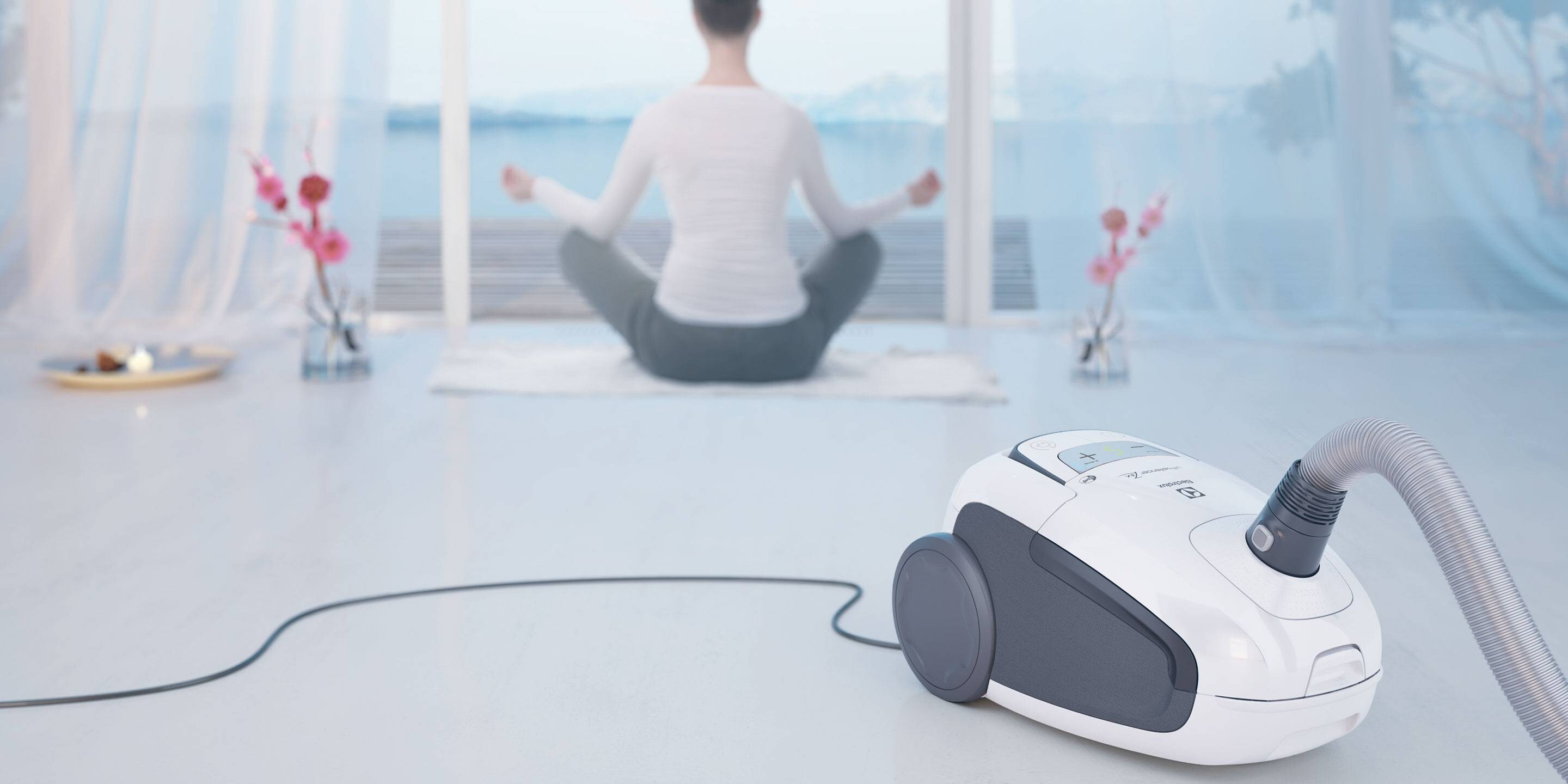 Electrolux Ultra Silencer Zen: купить бесшумный пылесос в Украине