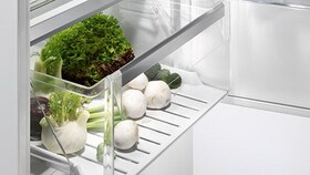Як вибрати холодильник: види продуктів