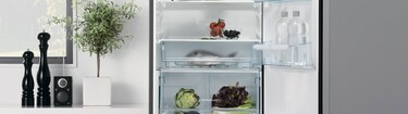Окремостоячий двокамерний холодильник Electrolux
